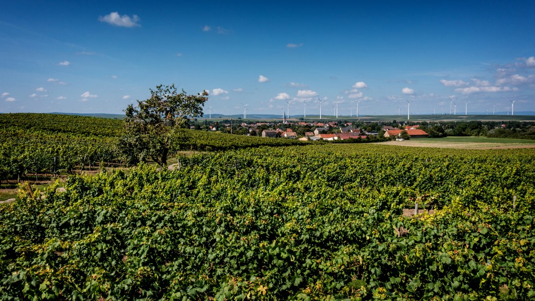 Armsheimer Goldstückchen