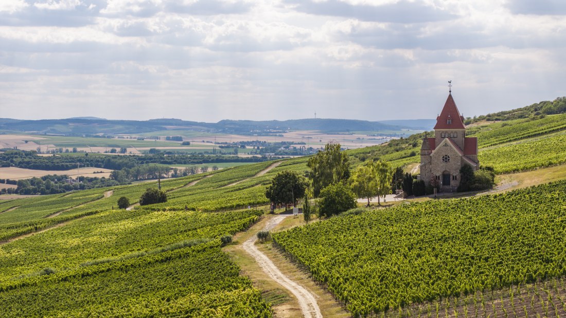 Gau-Bickelheimer Saukopf, © Torsten Silz