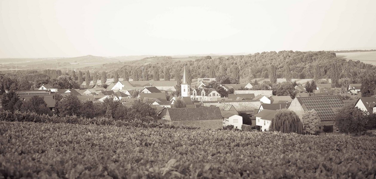 Lawall-stoehr_C-23, &copy; Weingut Lawall-St&ouml;hr