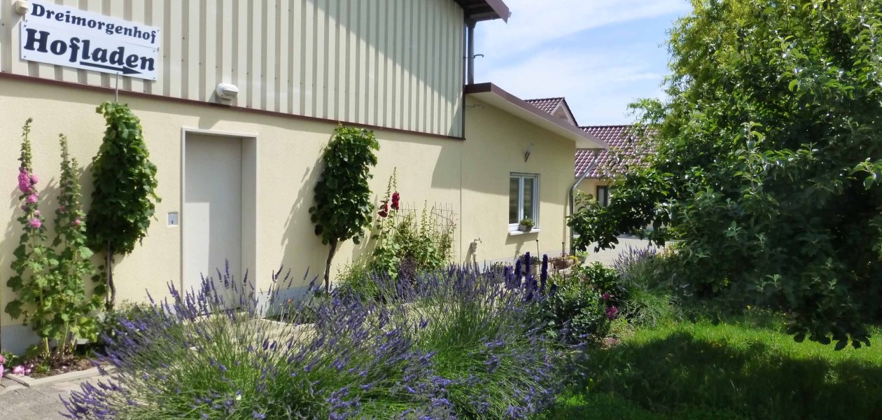 eckert2, &copy; Eckert Dreimorgenhof