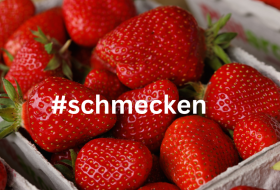 Erdbeeren &copy; Rainer Oppenheimer/Stadt Ingelheim