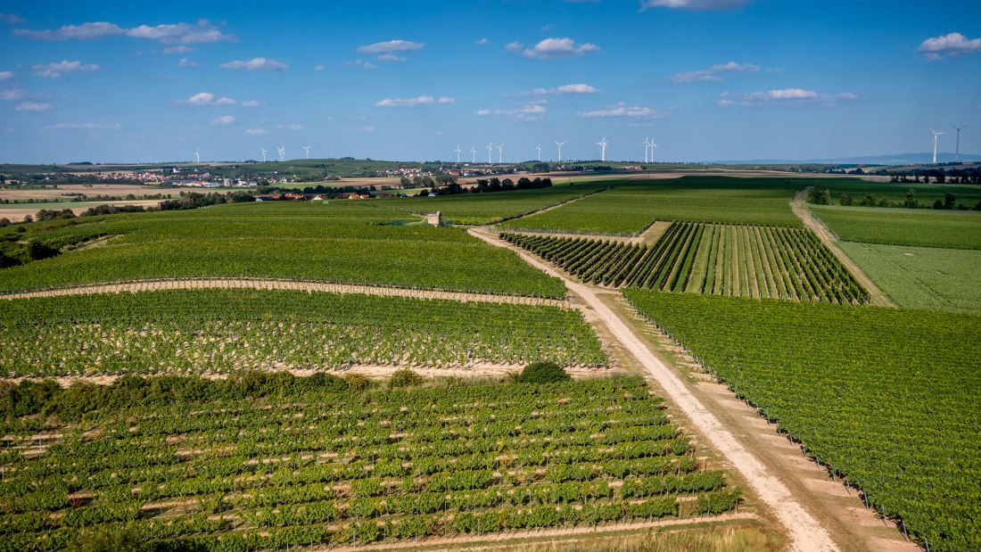 Dittelsheimer Leckerberg