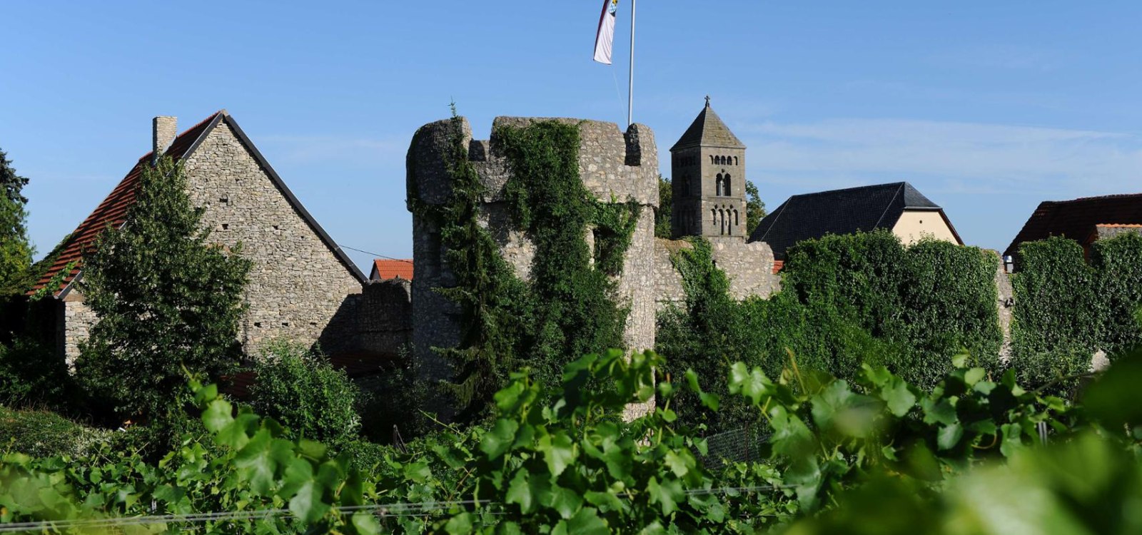 stain wall-c-vg-Monsheim-Carsten-costard, &copy; Carsten Costard