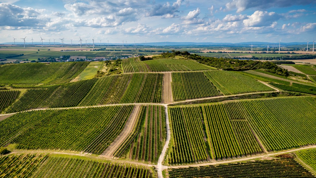 Gau-Odernheimer Herrgottspfad