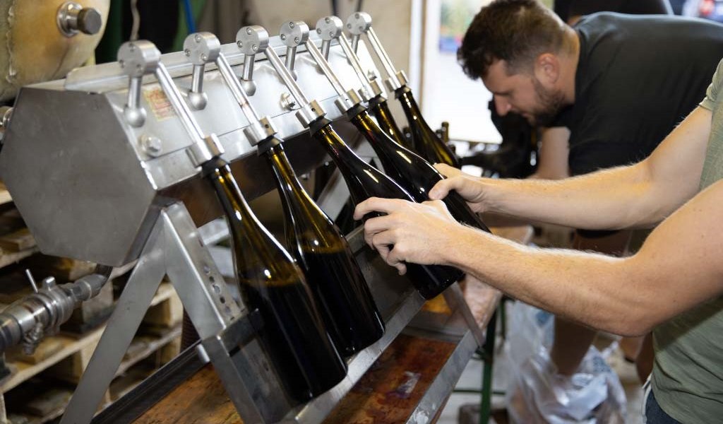 o51a3759dng, © Weingut Baum-Barth