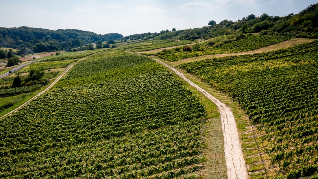 Jugenheimer Goldberg