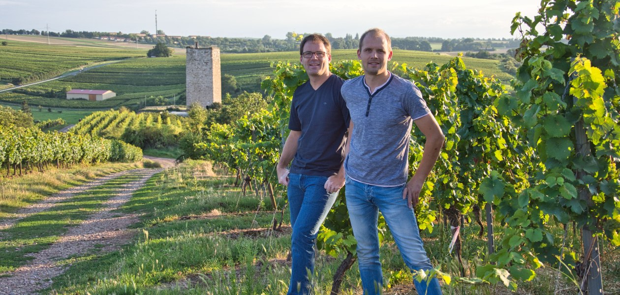 Weingut Georg Gustav Huff_Winzer im Weinberg, &copy; Weingut Georg Gustav Huff