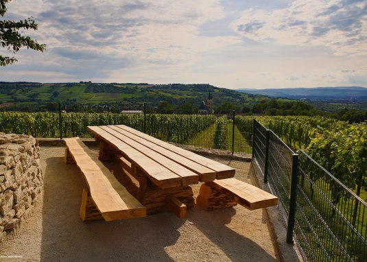 Tisch des Weines oberhalb des Wasserh&auml;uschens &copy; Rainer Oppenheimer/Stadt Ingelheim