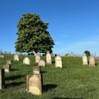 J&uuml;discher Friedhof 1 &copy; TI Alzey