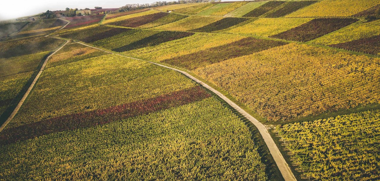 schittler6, &copy; Weingut Schittler & Becker