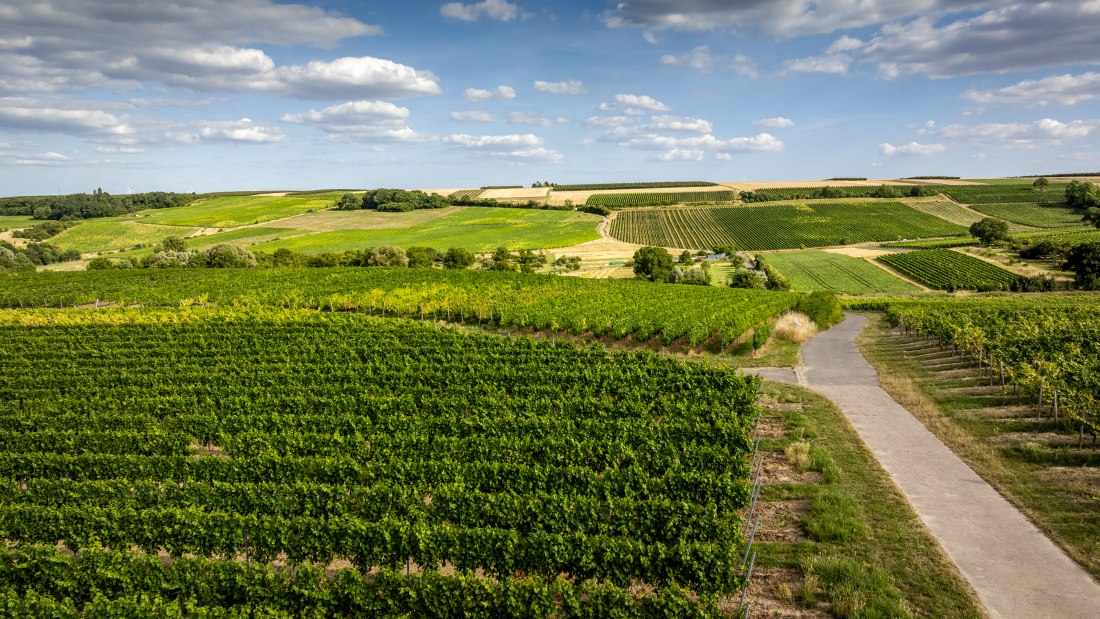 Partenheimer Sankt Georgen, &copy; Torsten Silz