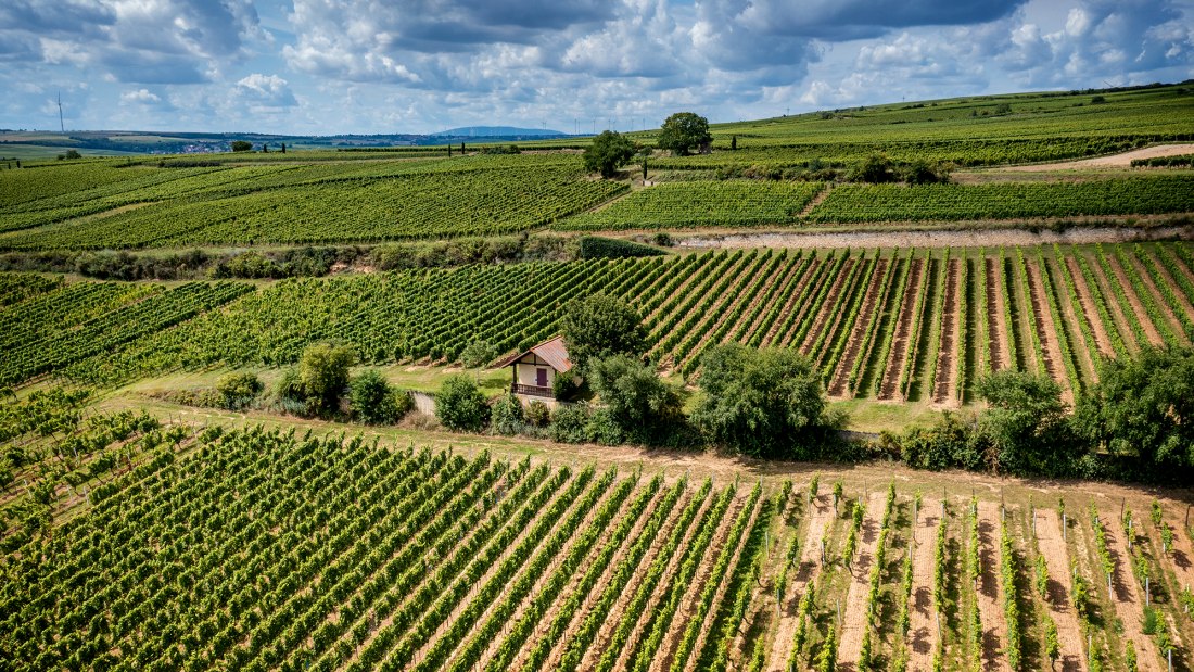 Westhofener Kirchspiel