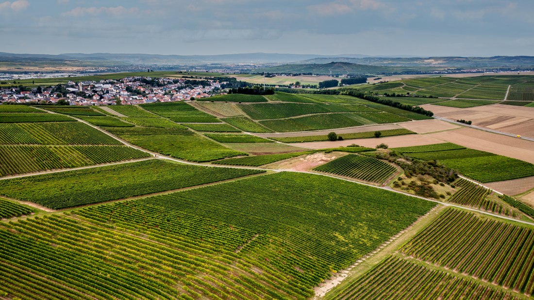 Frei-Laubersheimer Fels