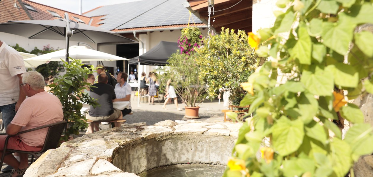 &copy; Weingut Lindenhof Kr&ouml;hler