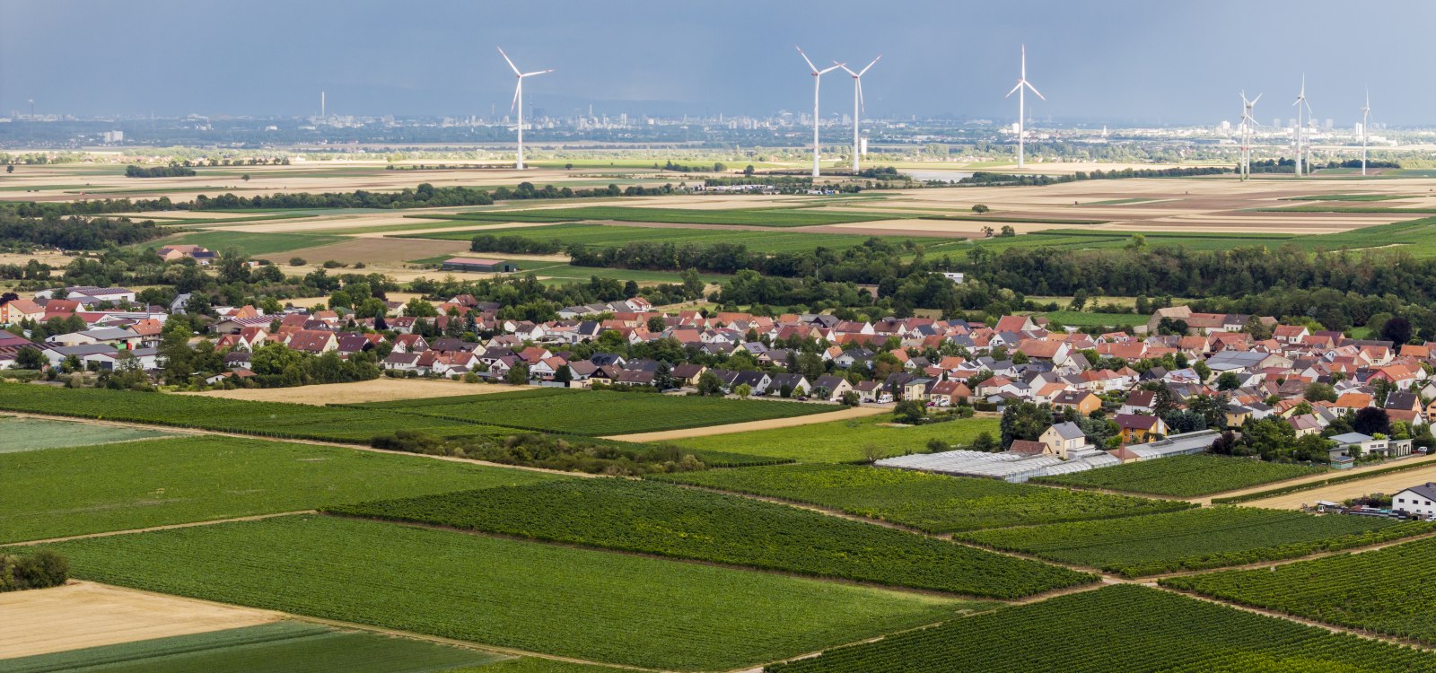 Heppenheimer Affenberg, © Torsten Silz