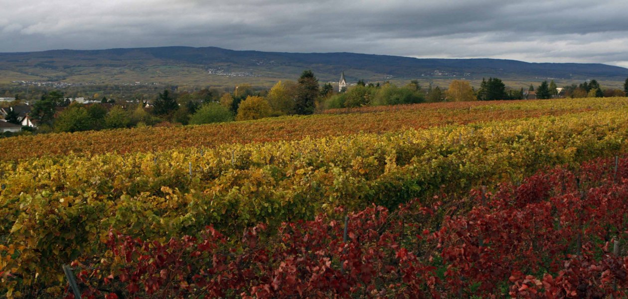 Nieuwe Andreas dorst, &copy; Andreas dorst