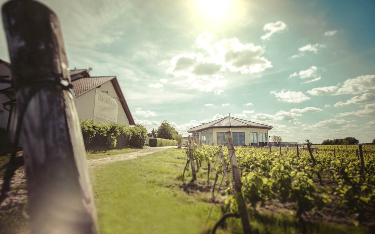 exterior-vinotheque-and-guesthouse, &copy; Weingut Hagemann