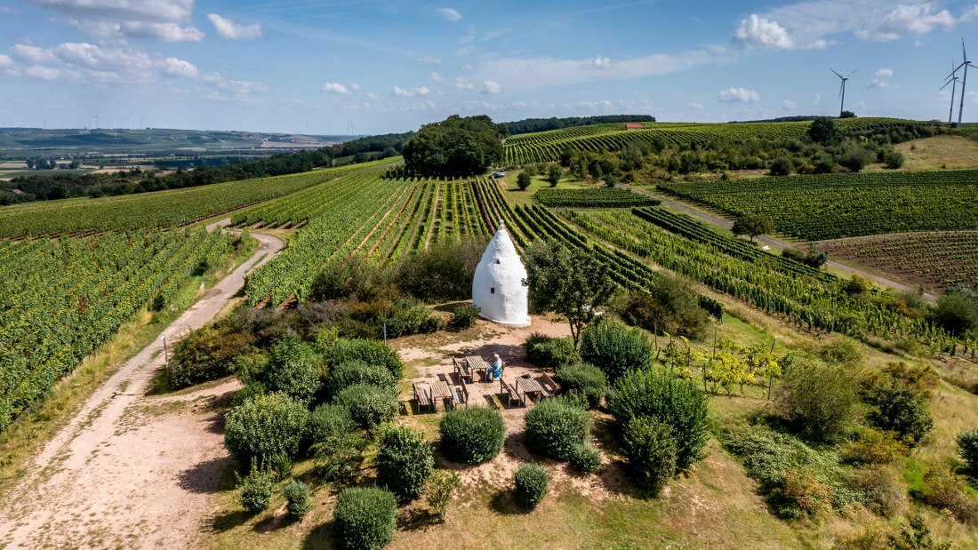 Flonheimer Rotenpfad, © Rheinhessenwein e.V./Torsten Silz