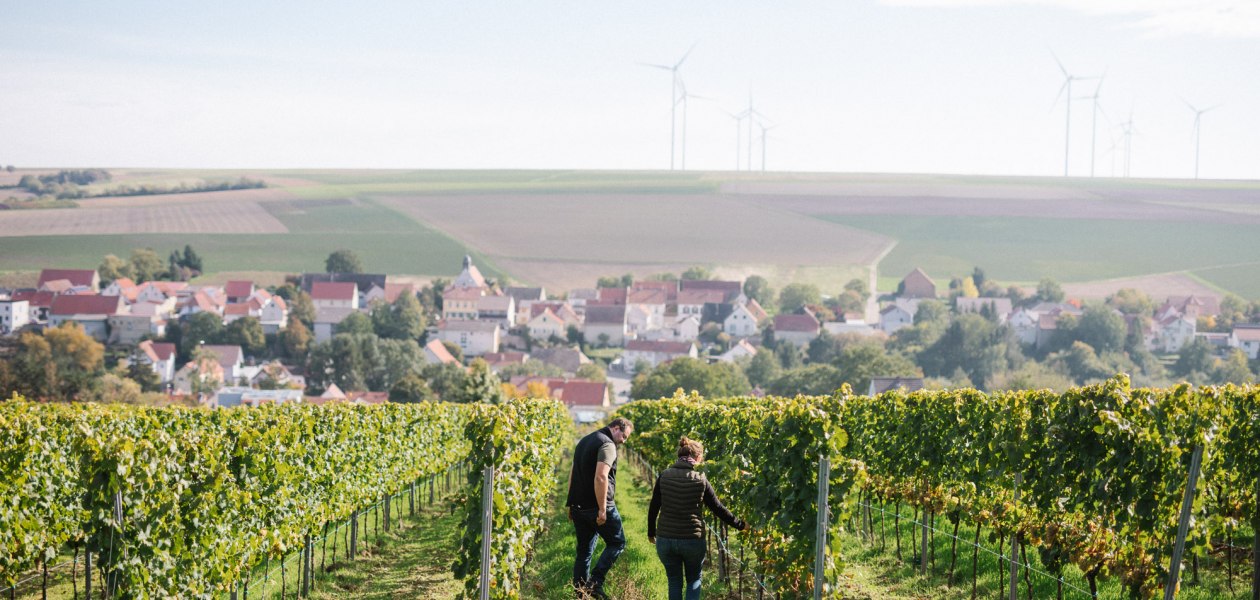 &copy; Weingut M&uuml;ller-Oswald
