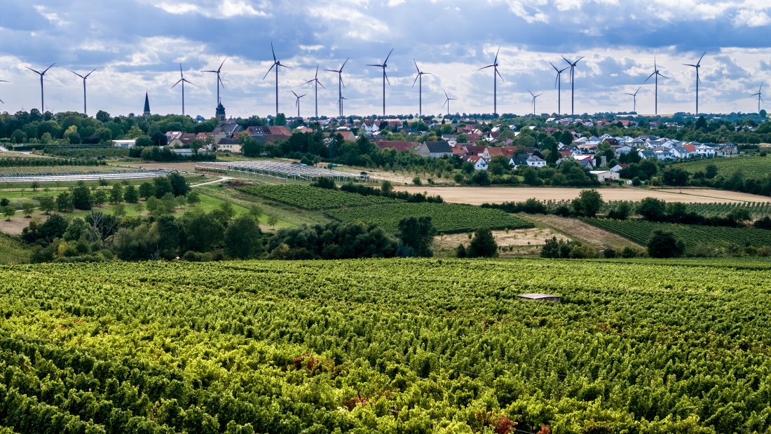 Ober-Flörsheimer Blücherpfad