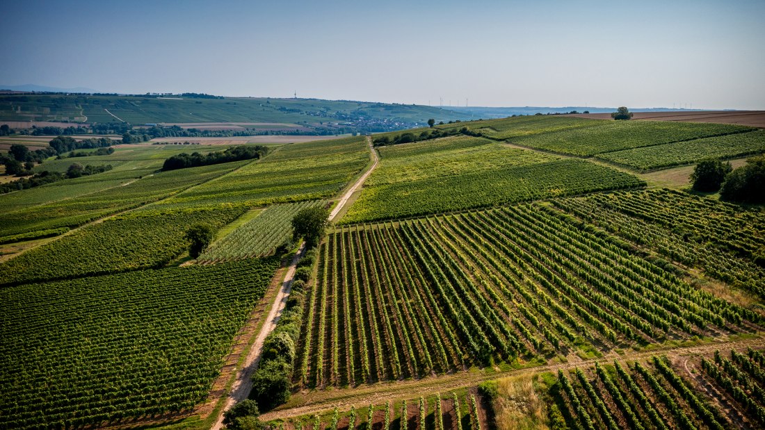 Engelstadter Adelpfad