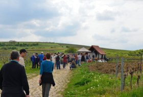 Gau-Algesheimer Weinlagenwanderung &copy; VG Gau-Algesheim_Armin Kleisinger