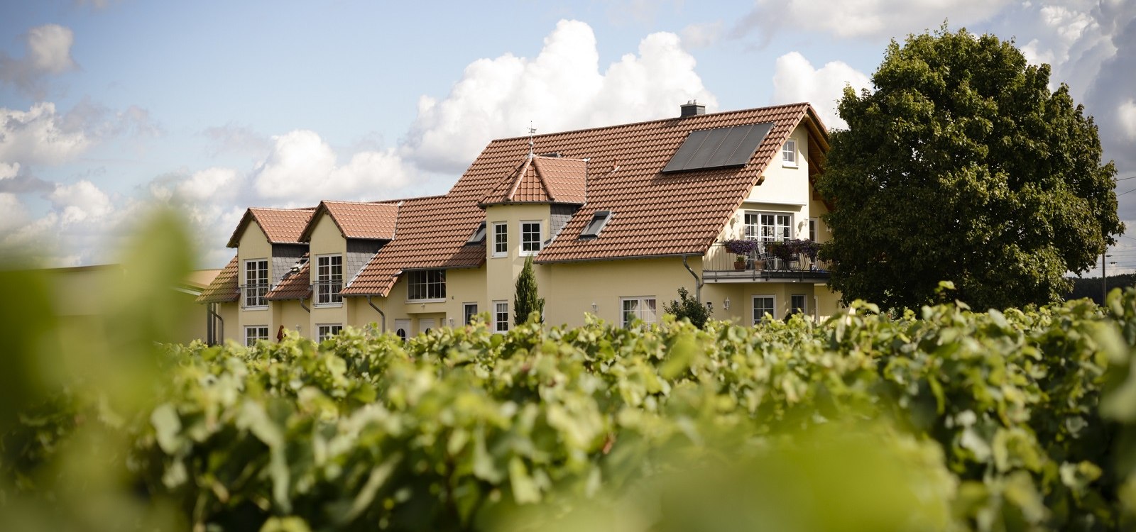 Weingut Otto Becker_Geb&auml;ude, &copy; Weingut Otto Becker