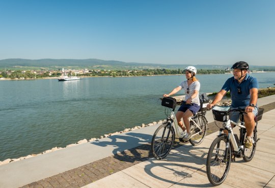 De Rijn-fietsroute in Rheinhessen, © Dominik Ketz