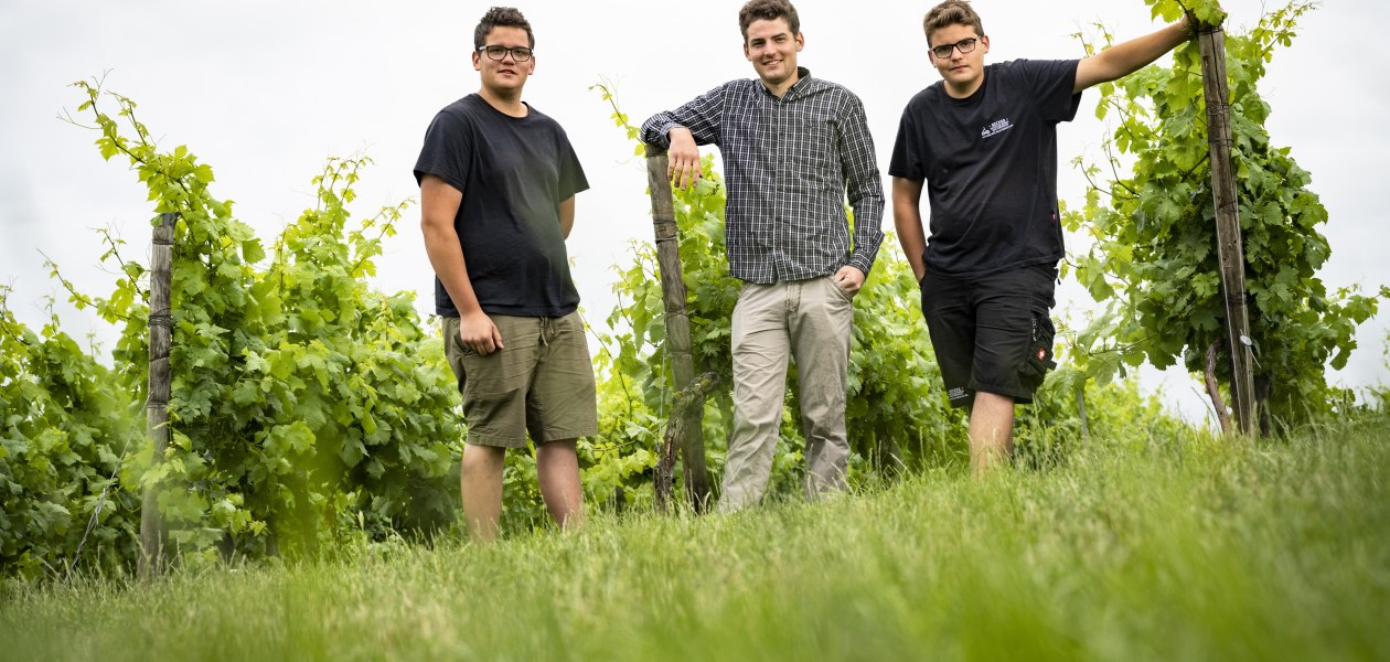 &copy; Becker- Das Weingut
