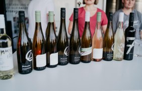 Weingut Finkenauer 02