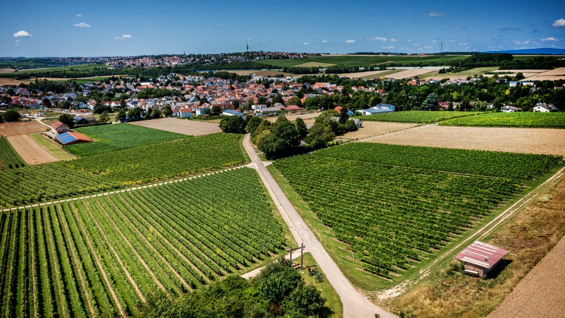 Klein-Winternheimer Geiershölle