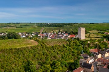 Niersteiner Schlo&szlig; Schwabsburg