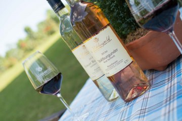 Weingut Nibelungenhof_Weinflaschen, © Weingut Nibelungenhof