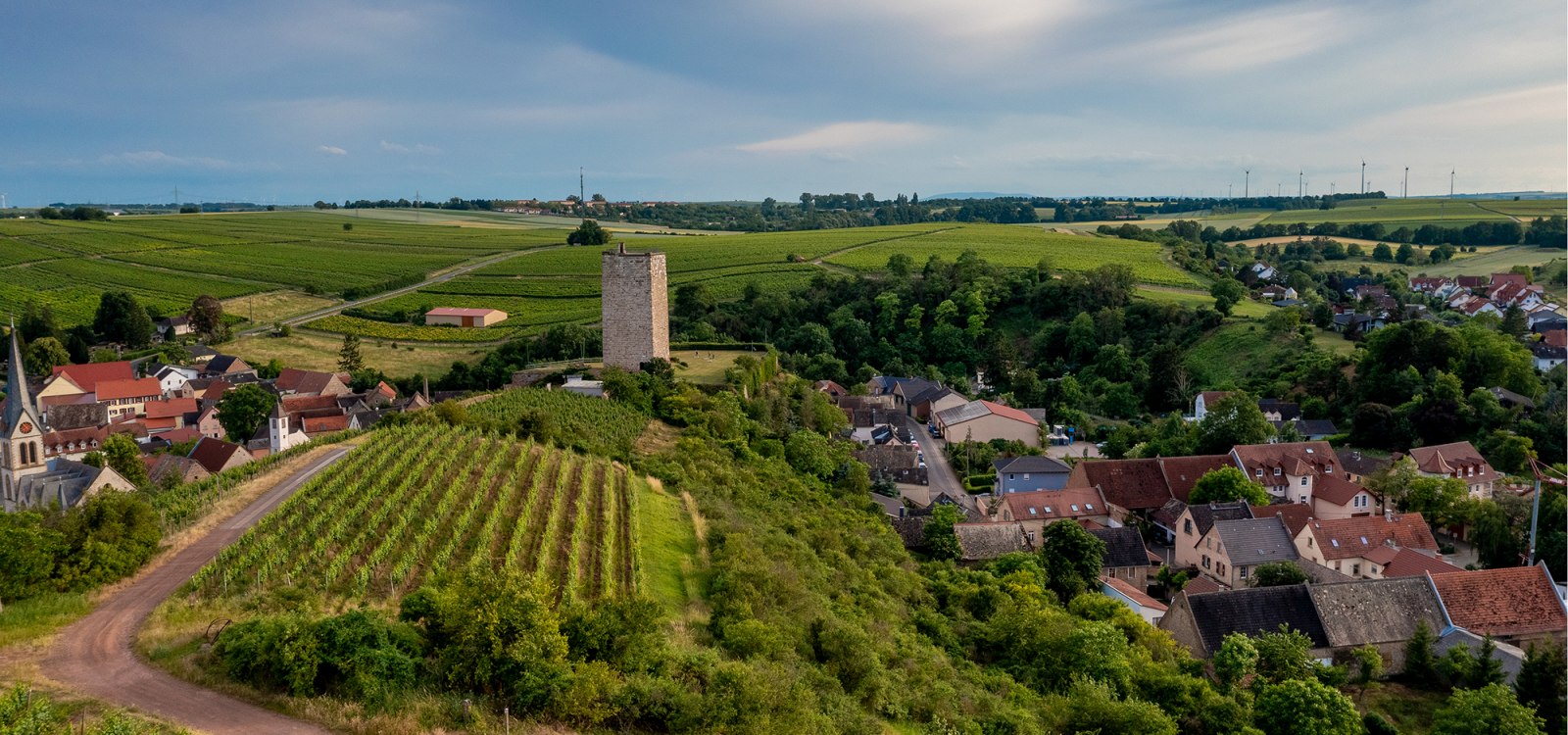 Niersteiner Schloß Schwabsburg