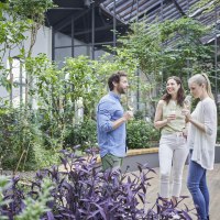 Netzwerken im Innengarten &copy; Roger Richter/IKuM GmbH
