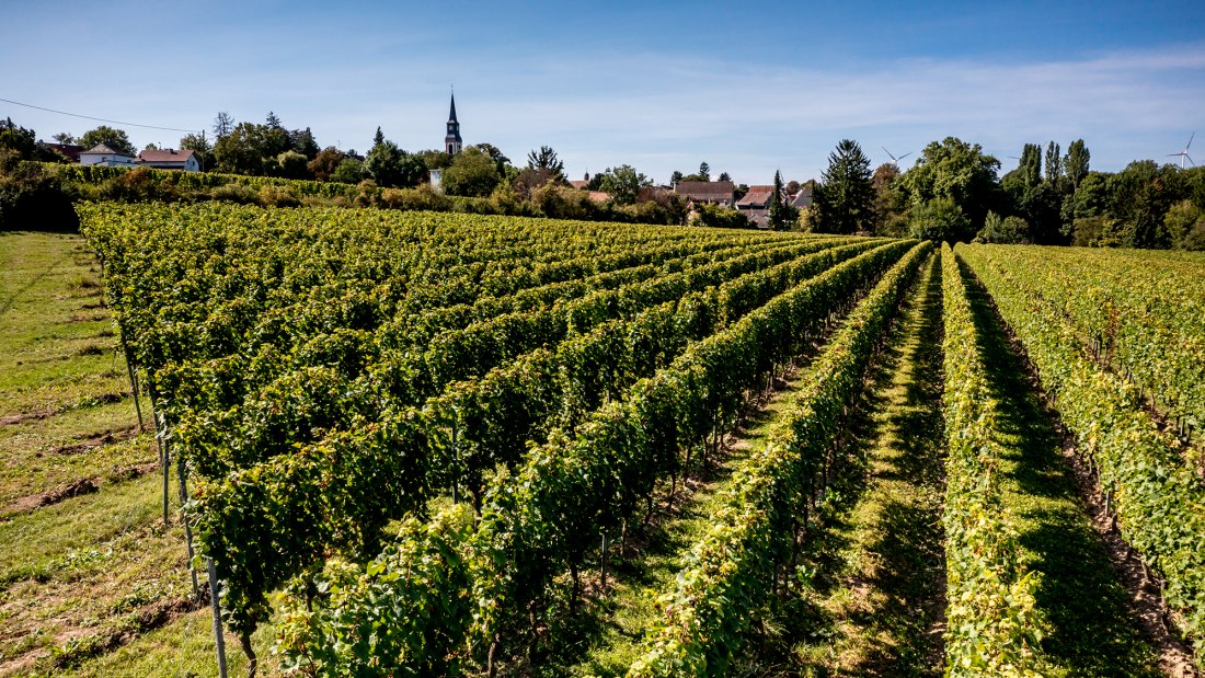 Flomborner Feuerberg