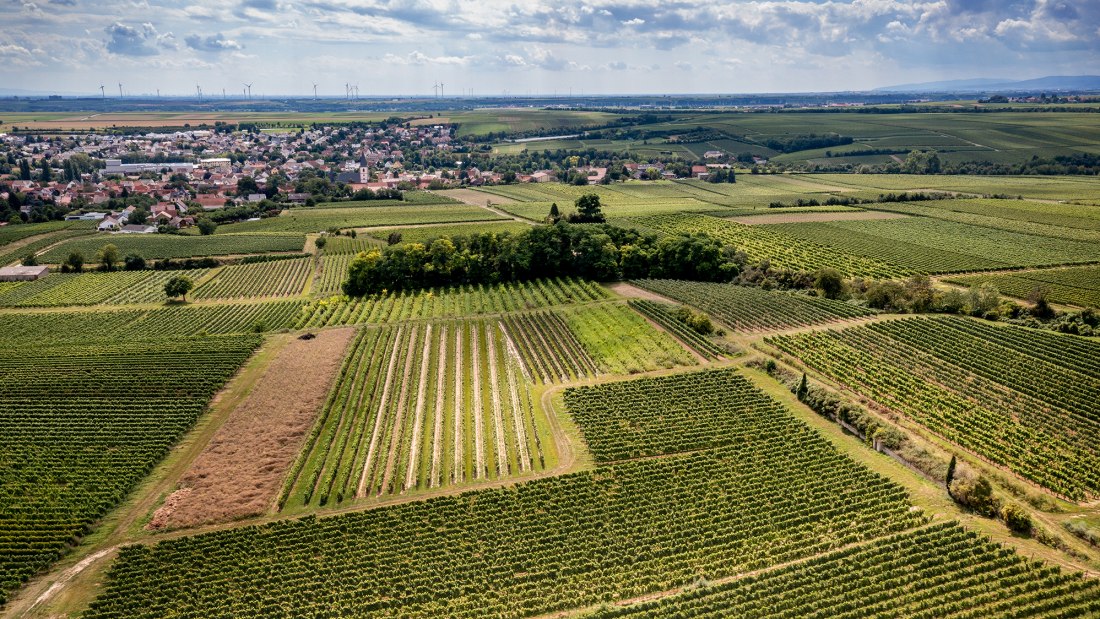 Westhofener Kirchspiel
