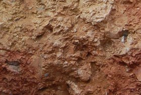 Quarzit Rigosol, &copy; Landesamt f&uuml;r Geologie und Bergbau Rheinland-Pfalz