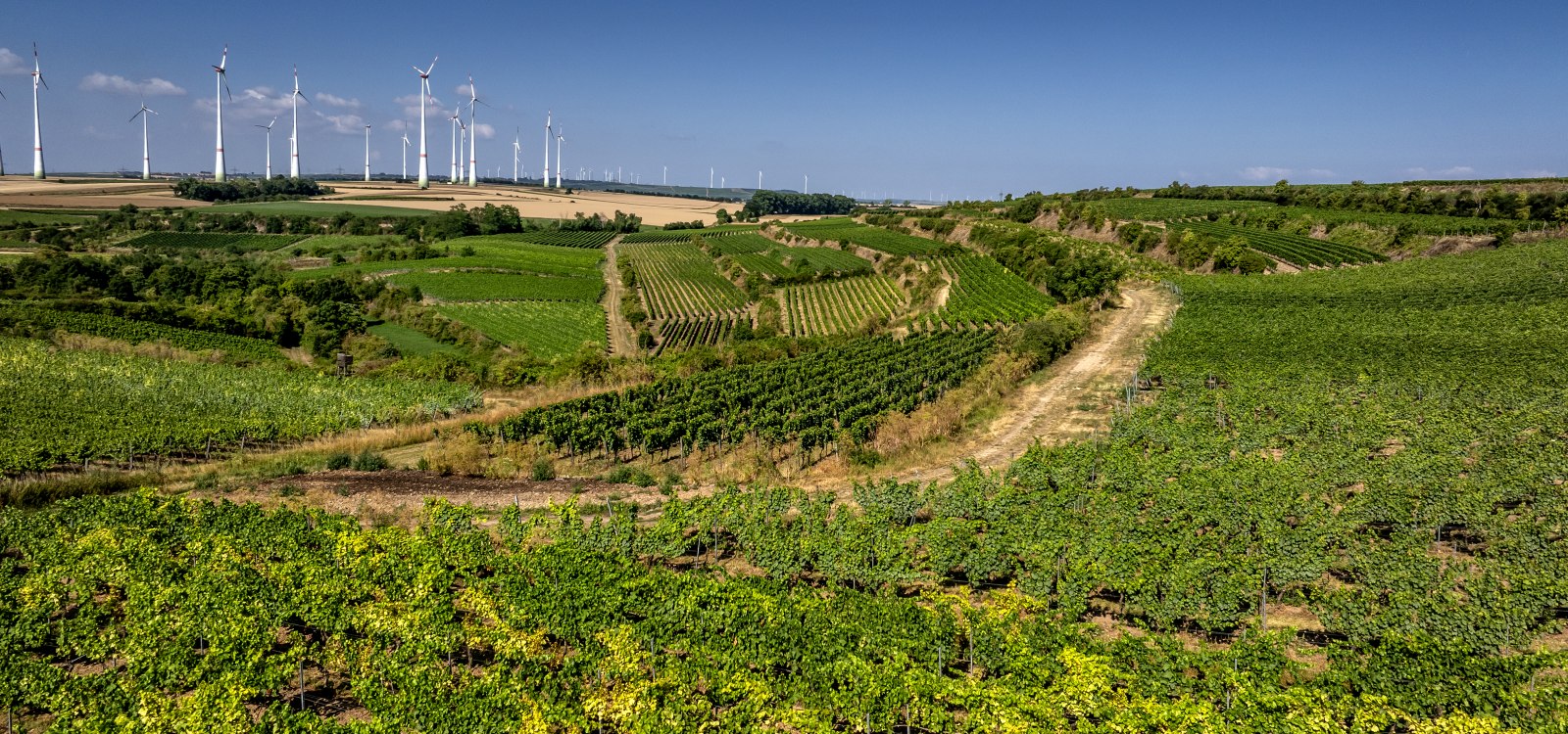 Alsheimer R&ouml;merberg, &copy; Torsten Silz