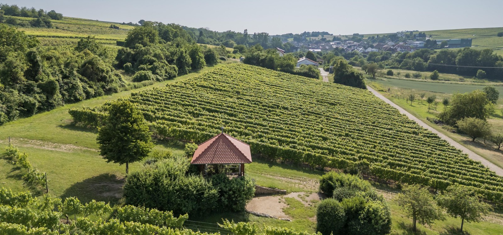 Aussichten mit Engelstadt, © Verbandsgemeinde Gau-Algesheim