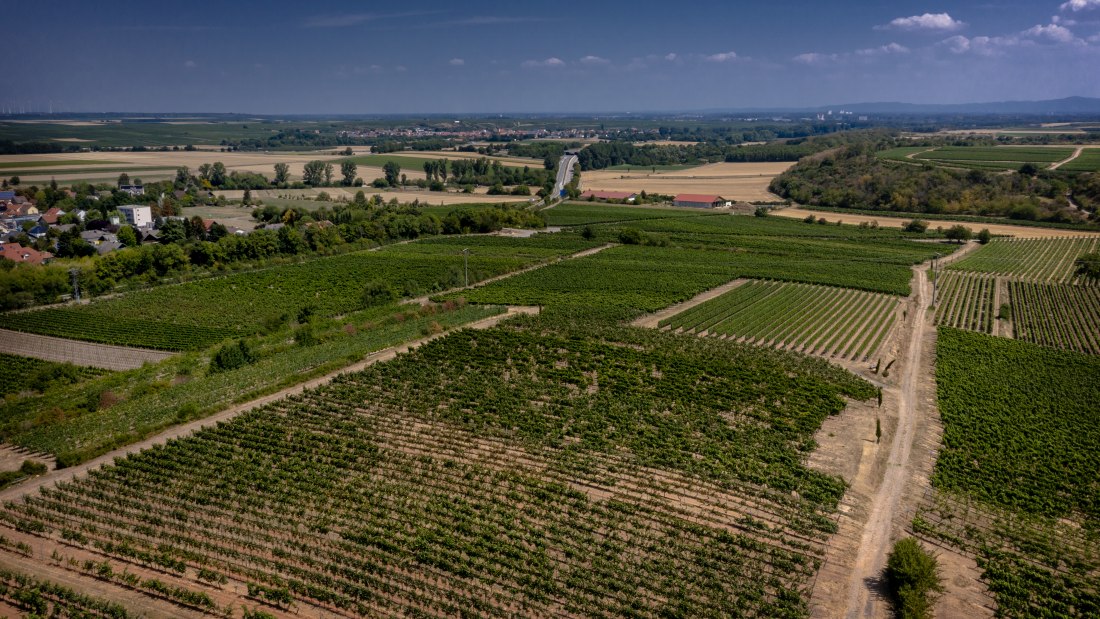 Mörstadter Nonnengarten