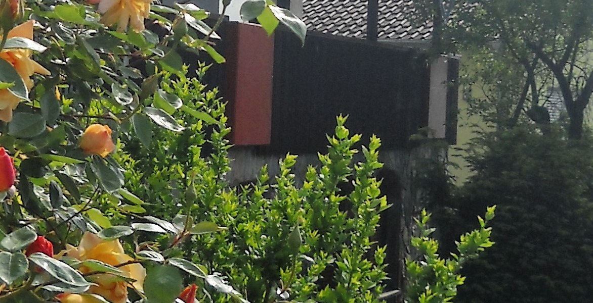 dscn2841-2, © Weingut Blees-Wallich