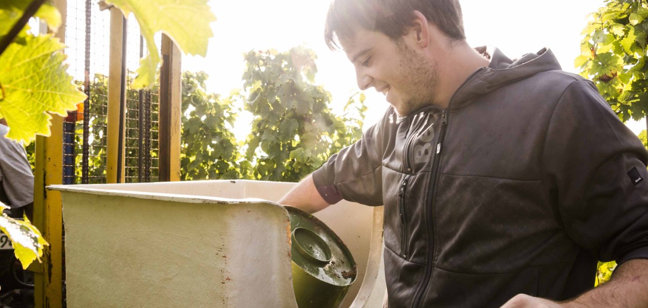 Weingut Freitag_Winzer, &copy; Weingut Freitag