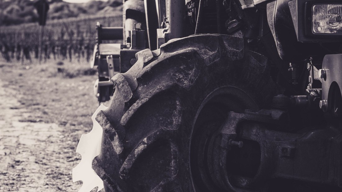 &copy; Weingut Schnabel