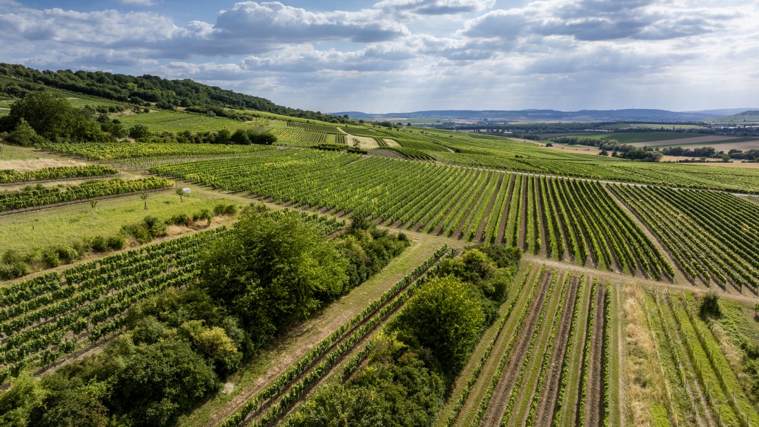 Sankt Joanner Klostergarten, &copy; Torsten Silz