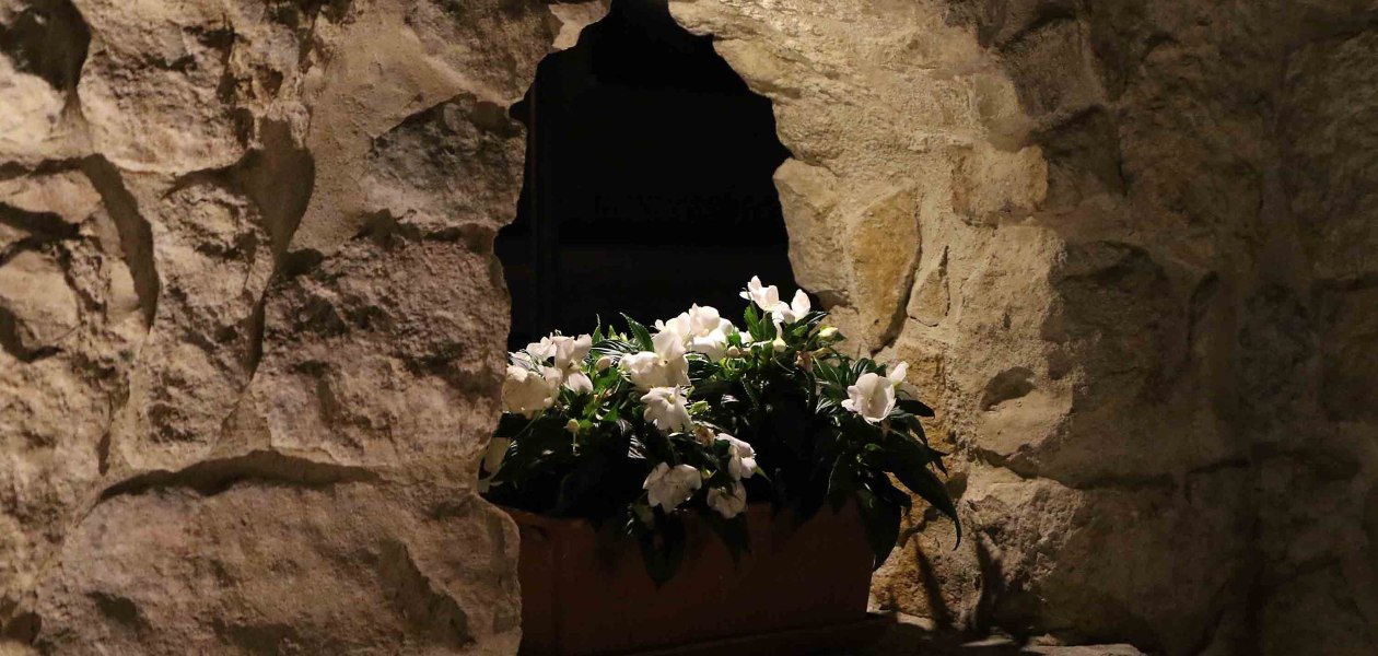 Weingut Schulz_Blumen, &copy; Weingut Schulz