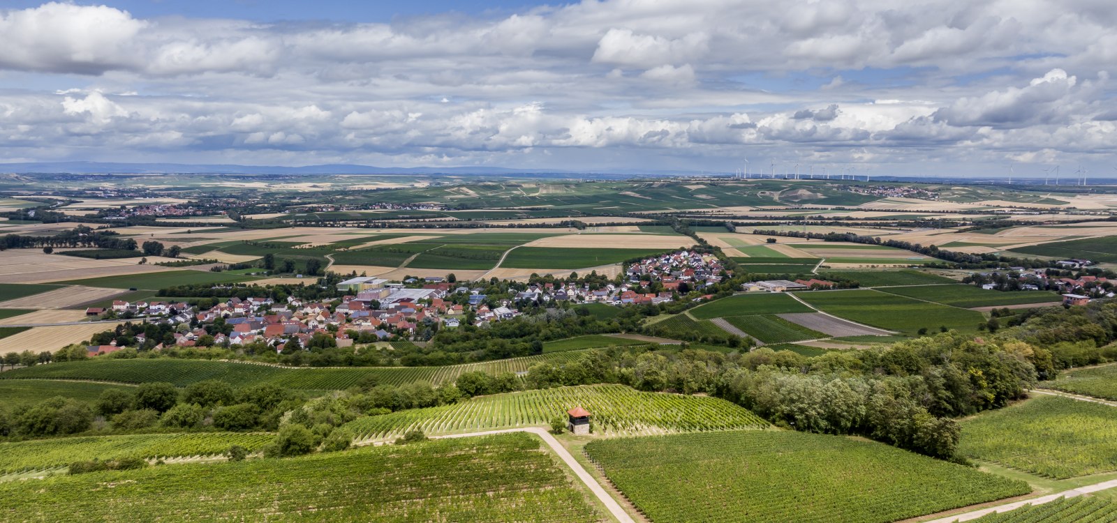 Bornheimer Hähnchen
