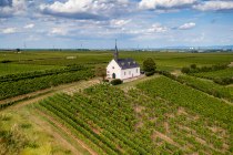 Abenheimer Klausenberg