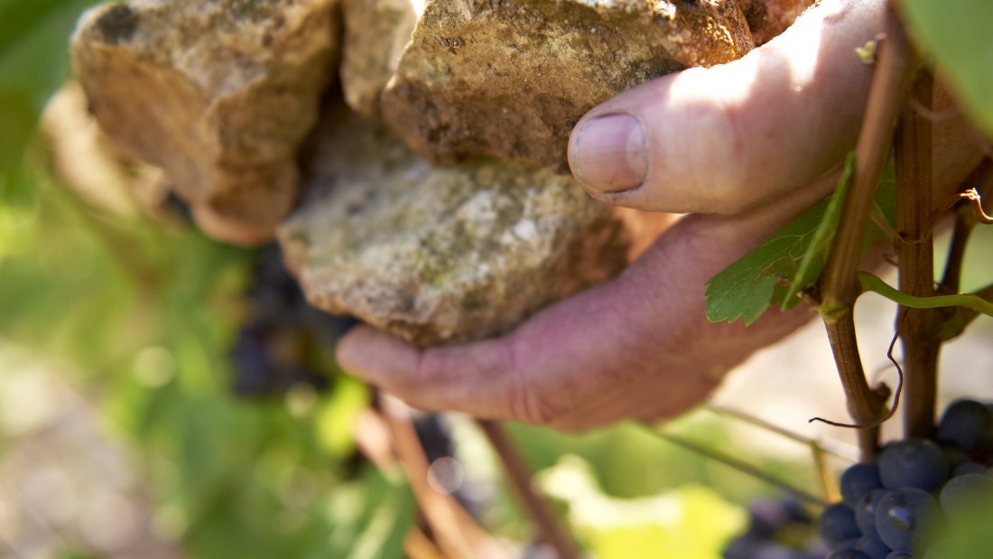 Michel Pfannebecker, &copy; Weingut Michel-Pfannebecker
