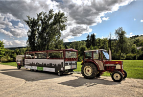 Im Planwagen auf den Spuren der Ingelheimer Weine &copy; Rainer Oppenheimer/IKuM GmbH